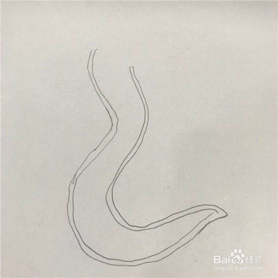 蛇的简笔画的画法