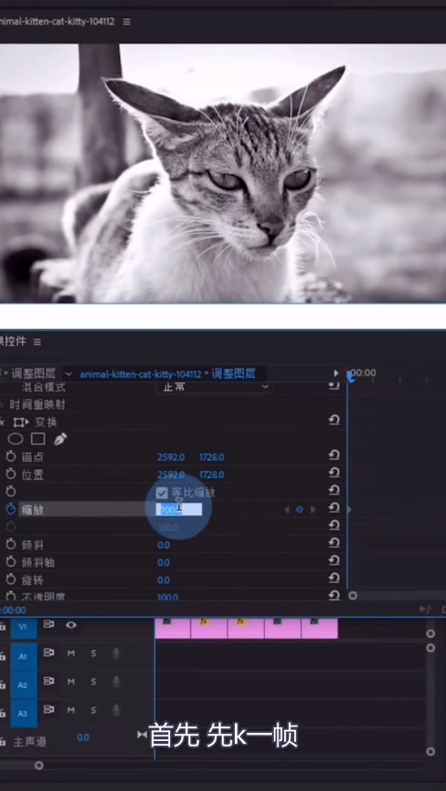 教你pr制作缩放卡点效果