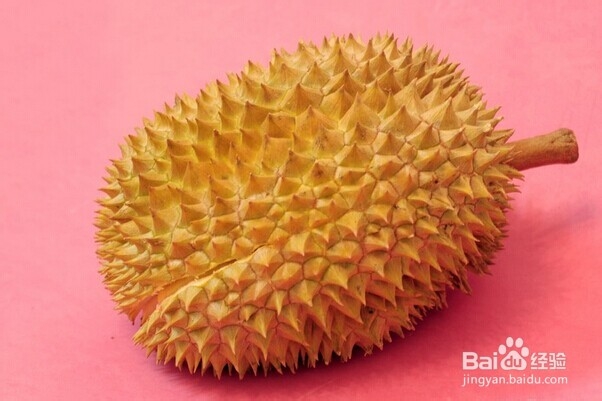 怎么挑新鲜水果——怎么挑榴莲
