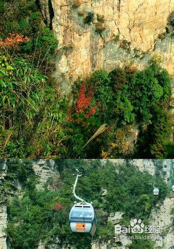 张家界散客自助游之好处