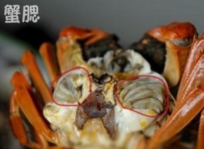 正确吃螃蟹，吃出健康无限极