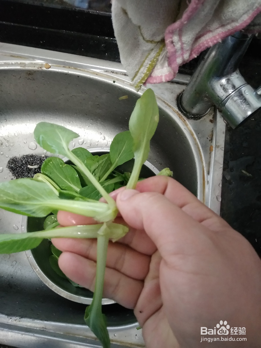 小青菜一手撵开法