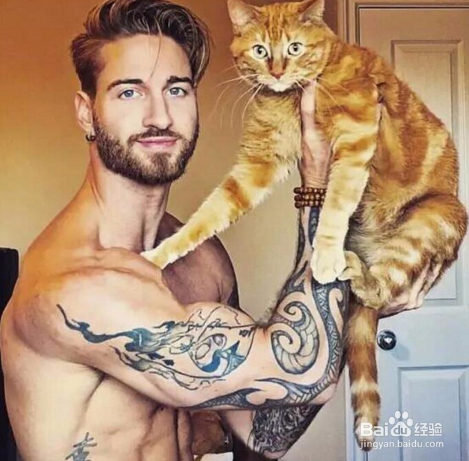 如何选择健身补剂-健身补剂的选择