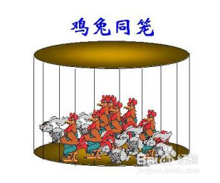 鸡兔同笼数学问题分析