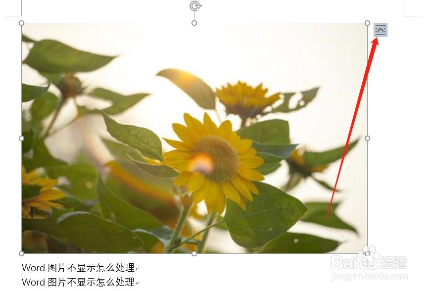 word插入图片不显示怎么解决