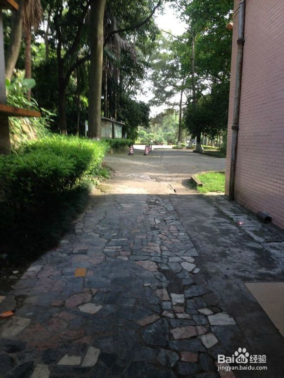 南华工商学院黄埔校区校园图片全攻略