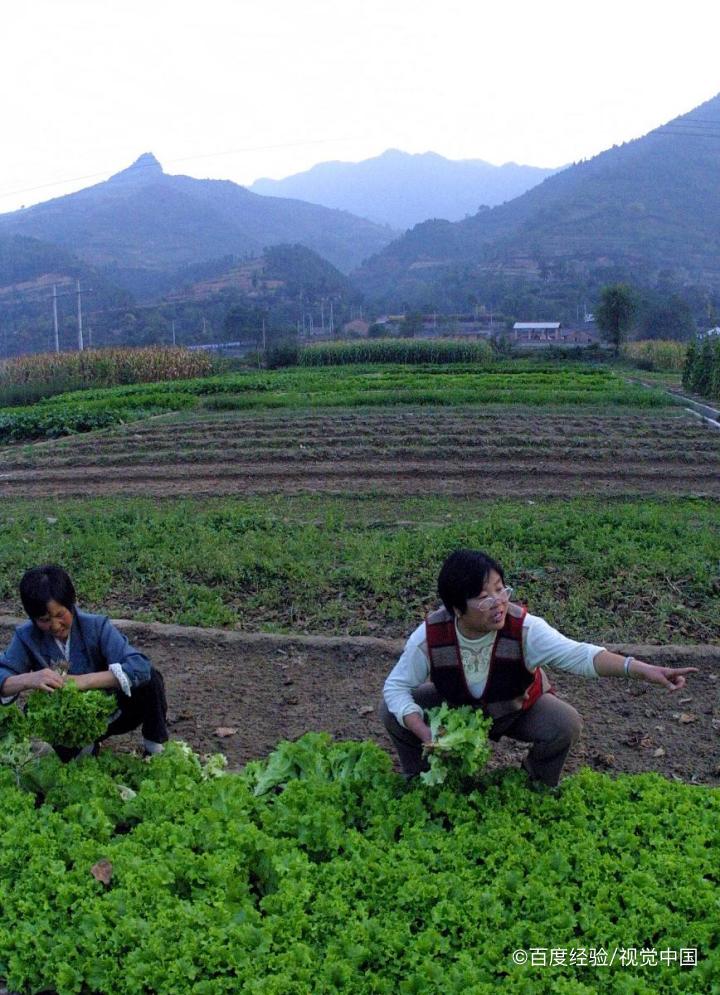 为什么冬眠的动物可以不吃不喝