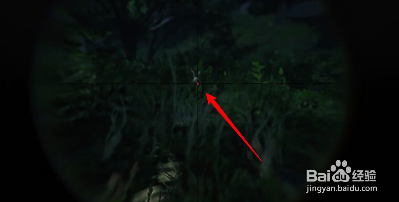 荒野大镖客2兔子完美皮怎么打