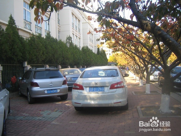 植物的种植要考虑车辆行驶的通道及停车位置