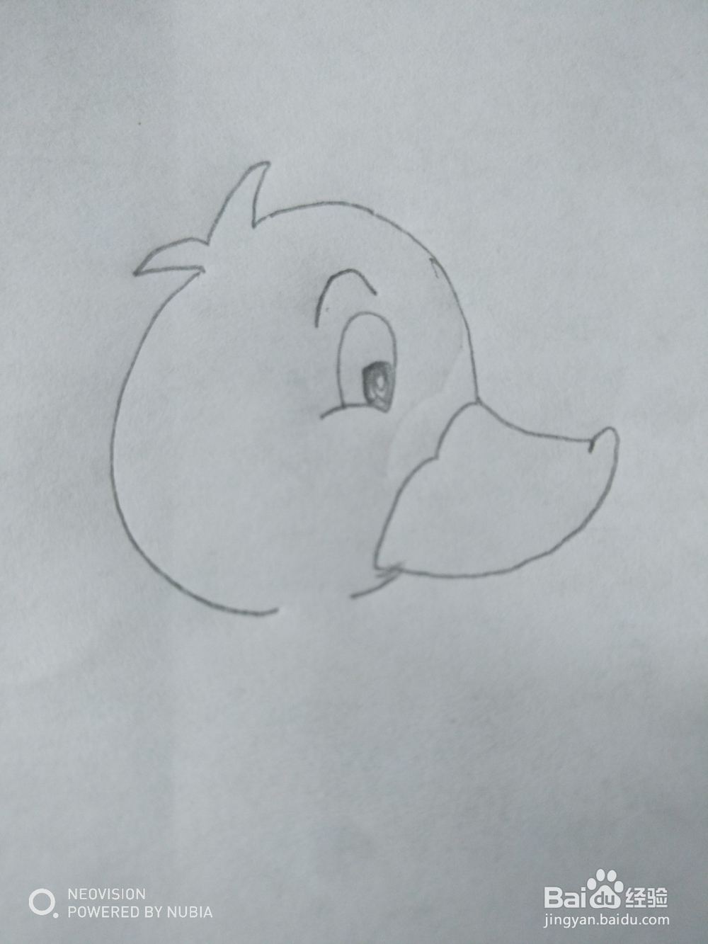 小萌鸭怎么画