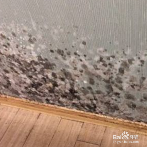 墙纸发霉了怎么翻新