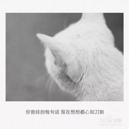 心烦用一句话怎样表达