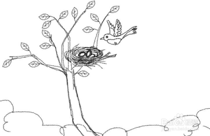 大树上的鸟窝简笔画图片