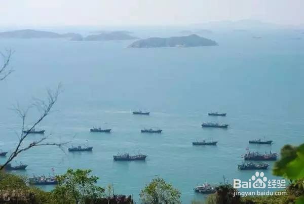 浙江海岛旅游攻略: