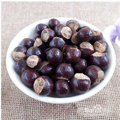 桂圆核怎么种植方法