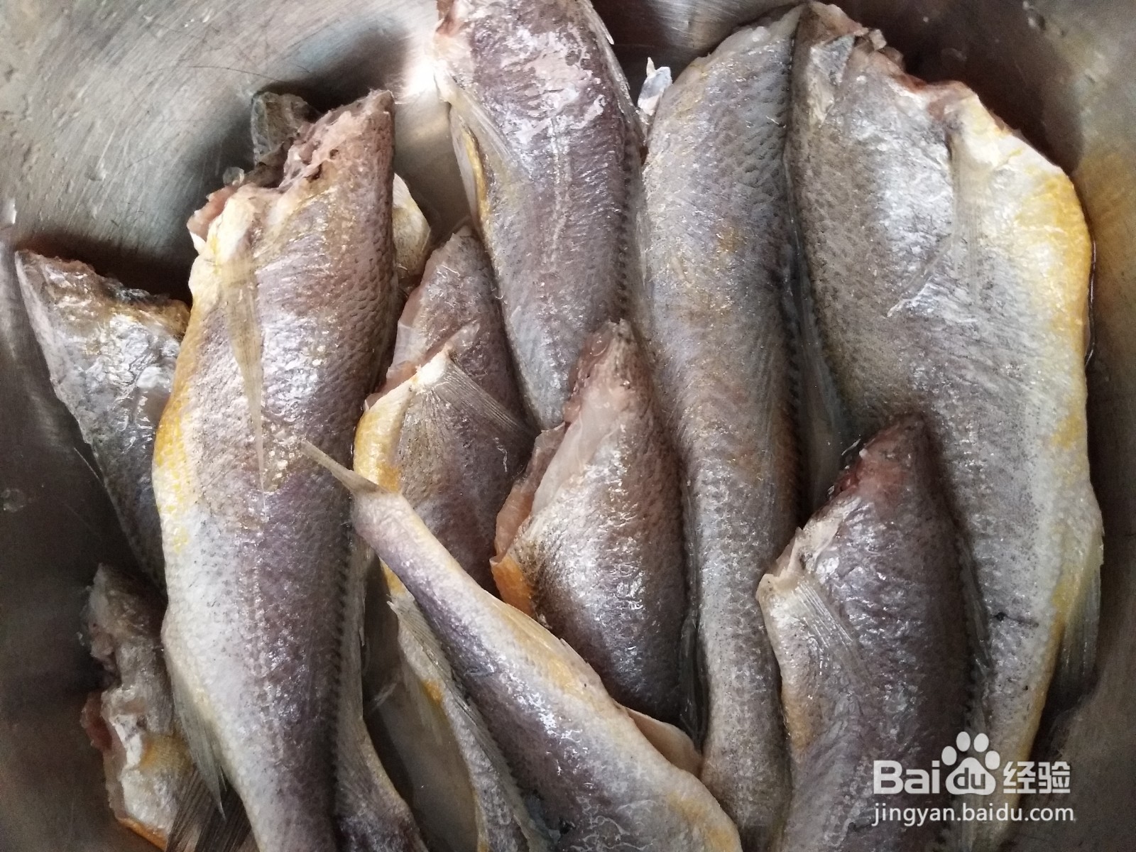 怎样做煸熘小黄花鱼？