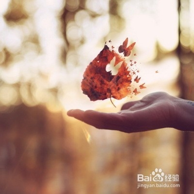 我们需要生活慢节奏