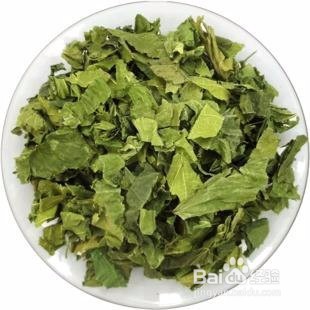 菊苣栀子茶适合的人群有哪些?