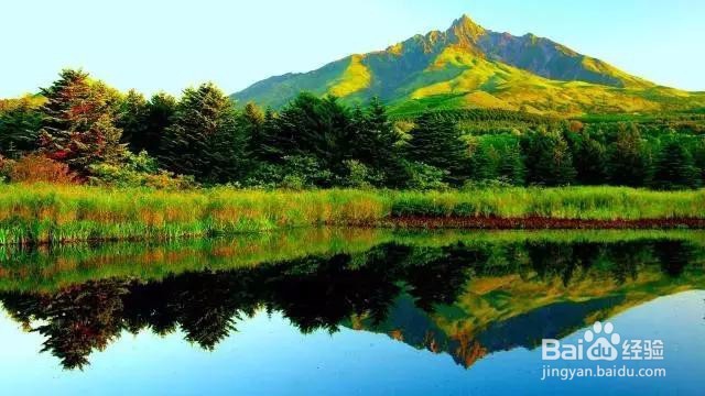 怎样钓鱼能钓到鲫鱼