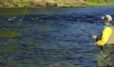 钓鱼基础入门教程