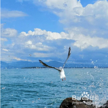 怎样有效防治失眠？