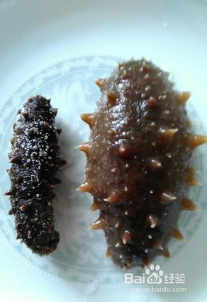 怎么样选择海参