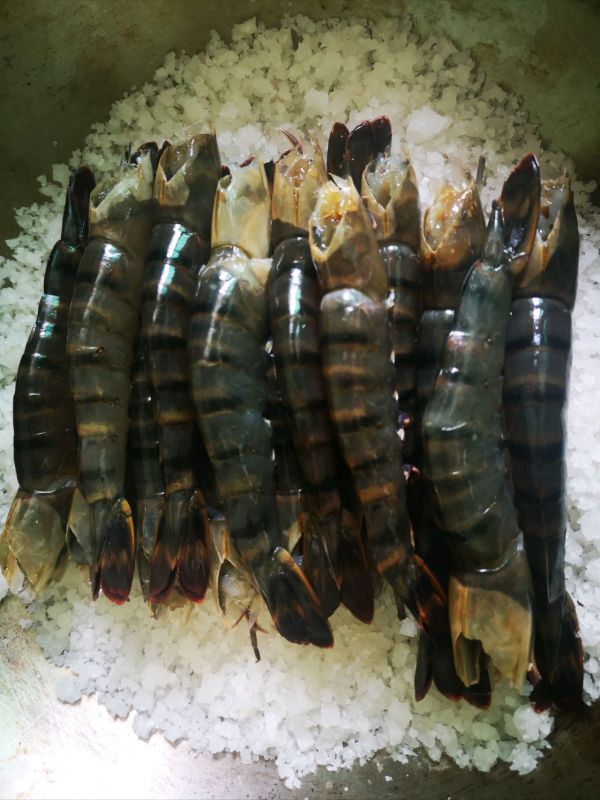 简简单单盐焗虾