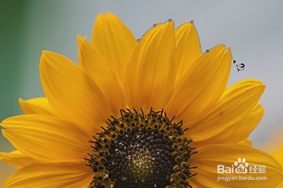 photoshop入门教程（23）