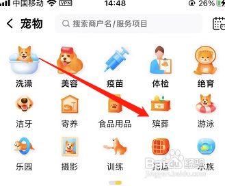 狗狗离世怎样处理后事