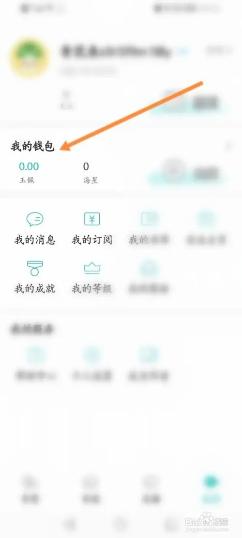 长佩阅读怎么查看充值记录信息