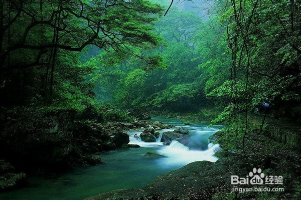 2013年张家界与凤凰自助游旅游攻略