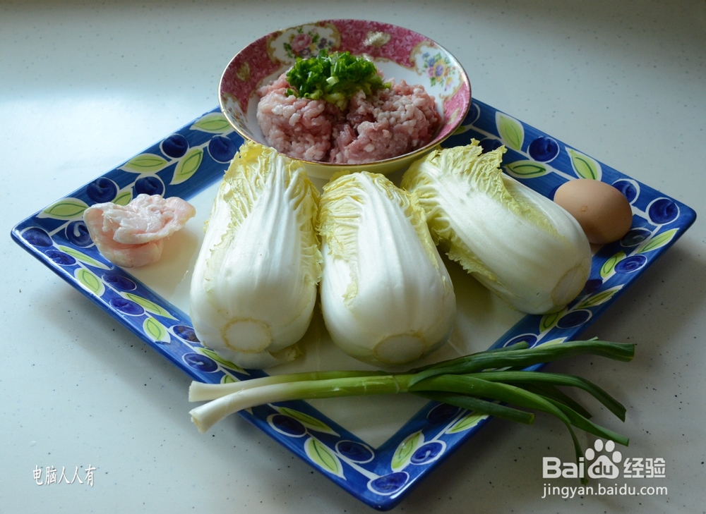 系列美食：[55]菜肉馄饨