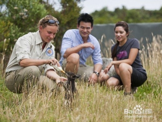 逃离喧嚣的绿色生活 纵享全球生态旅馆
