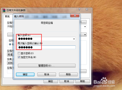压缩文件密码 全网资源