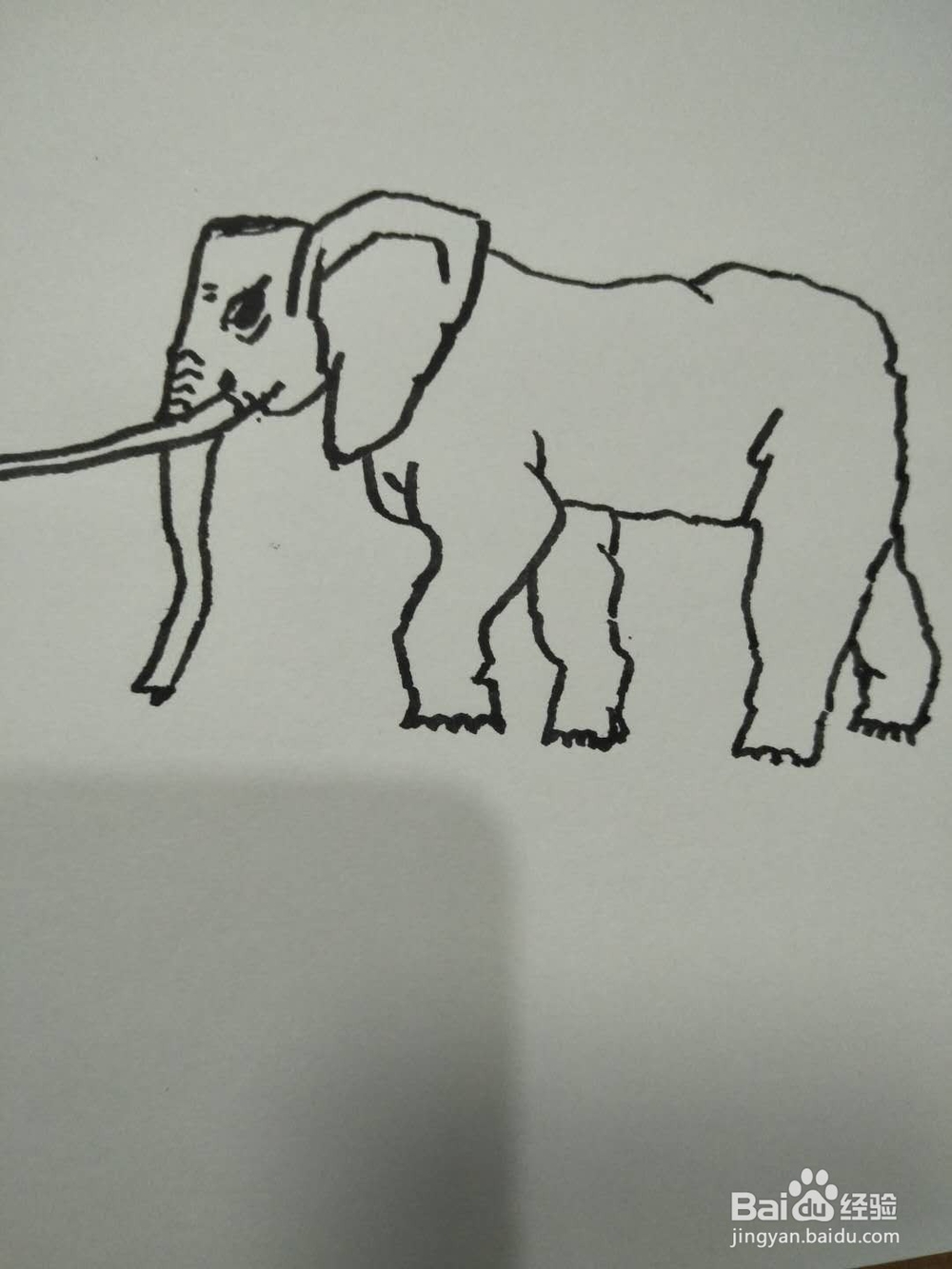 简笔画之大象侧面
