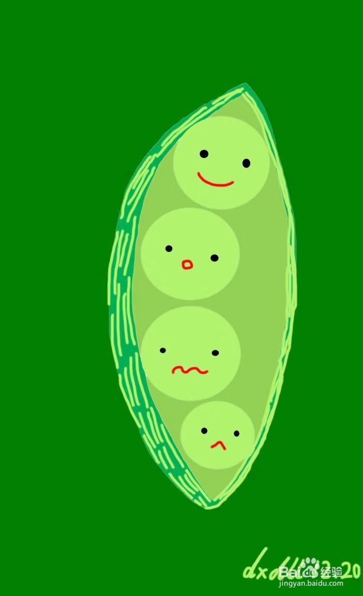 简笔画教程之毛豆