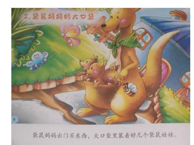 袋鼠妈妈的大口袋里明白了什么道理