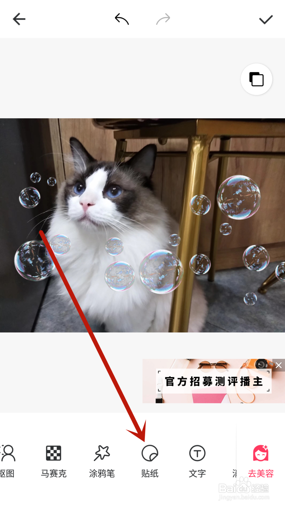 高级泡泡图怎么p