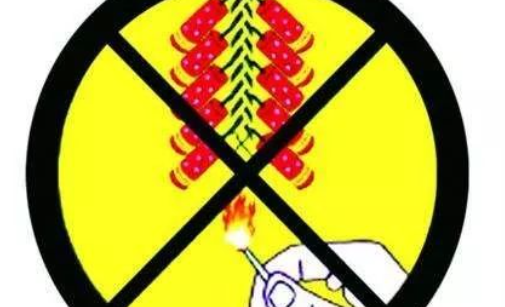 烟花爆竹可以上网约车吗