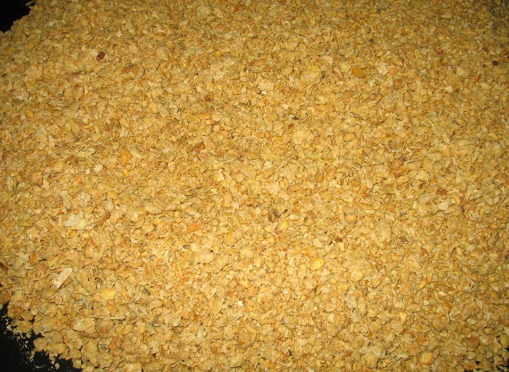 豆粕在养猪应用上应注意什么