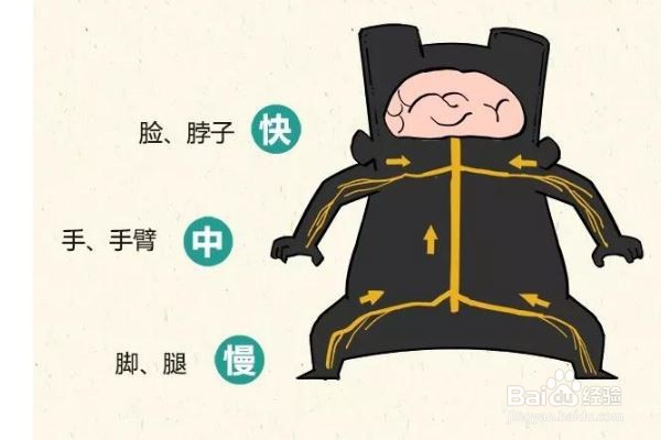 怎样预防狂犬病？