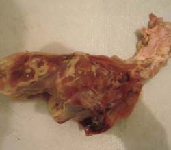 常记麻辣烫的做法