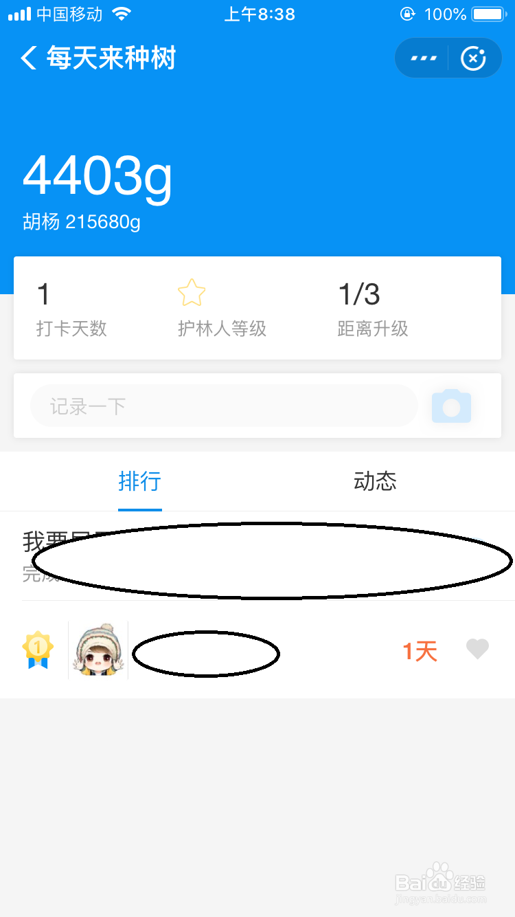 支付宝的小目标每天来种树怎么玩