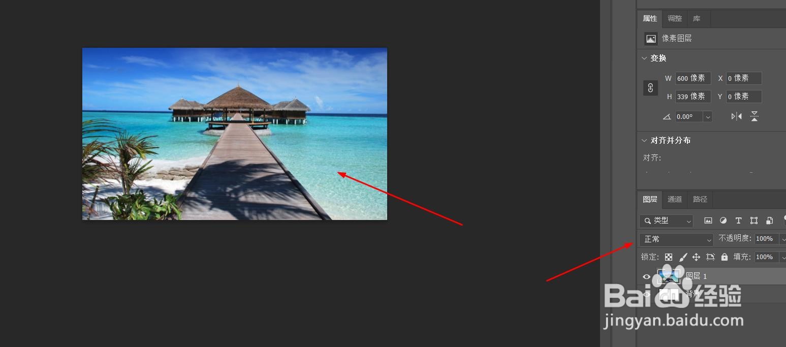 photoshop不透明度如何设置为50%#校园分享#