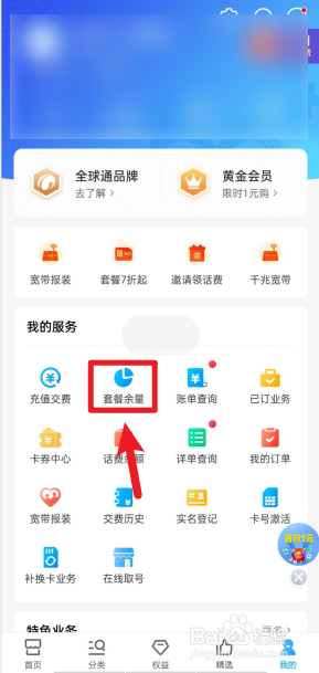 移动查询套餐怎么查