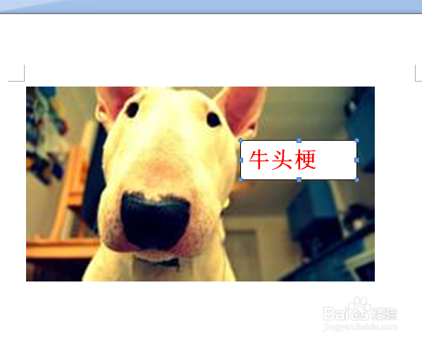 word中的图片怎么插入文字