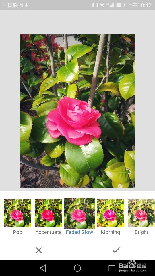 Snapseed软件如何进行照片样式的选择