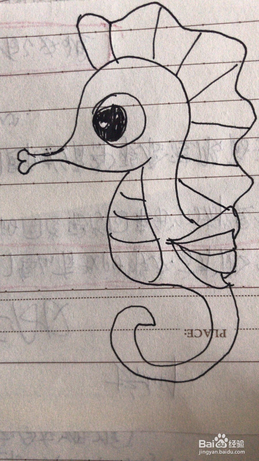 小海马的简笔画