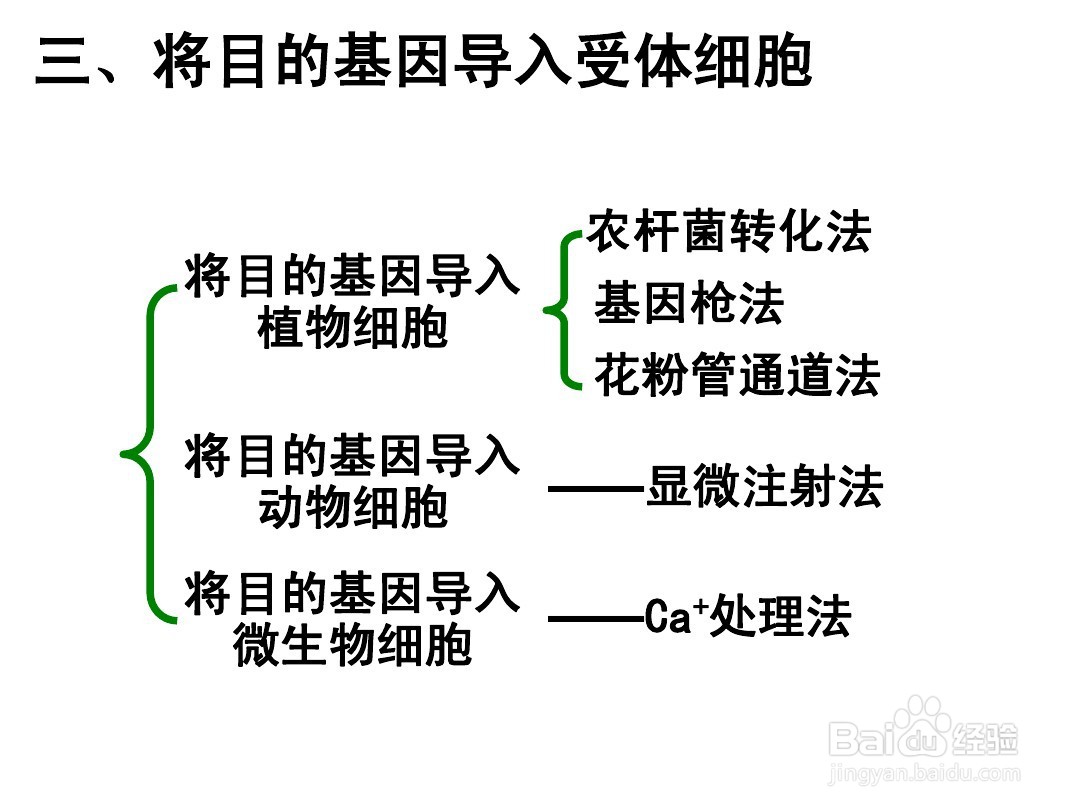 基因工程四个基本步骤