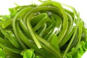 新鲜海带的处理方法